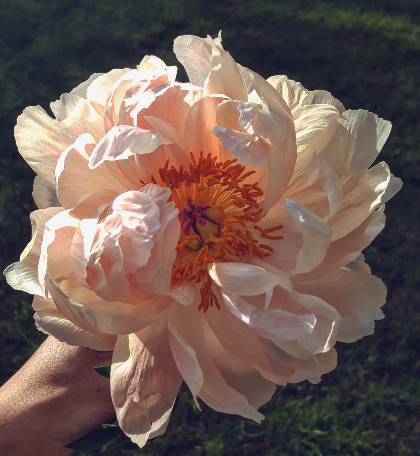 New Beginnings - a creative workshop celebrating art and nature