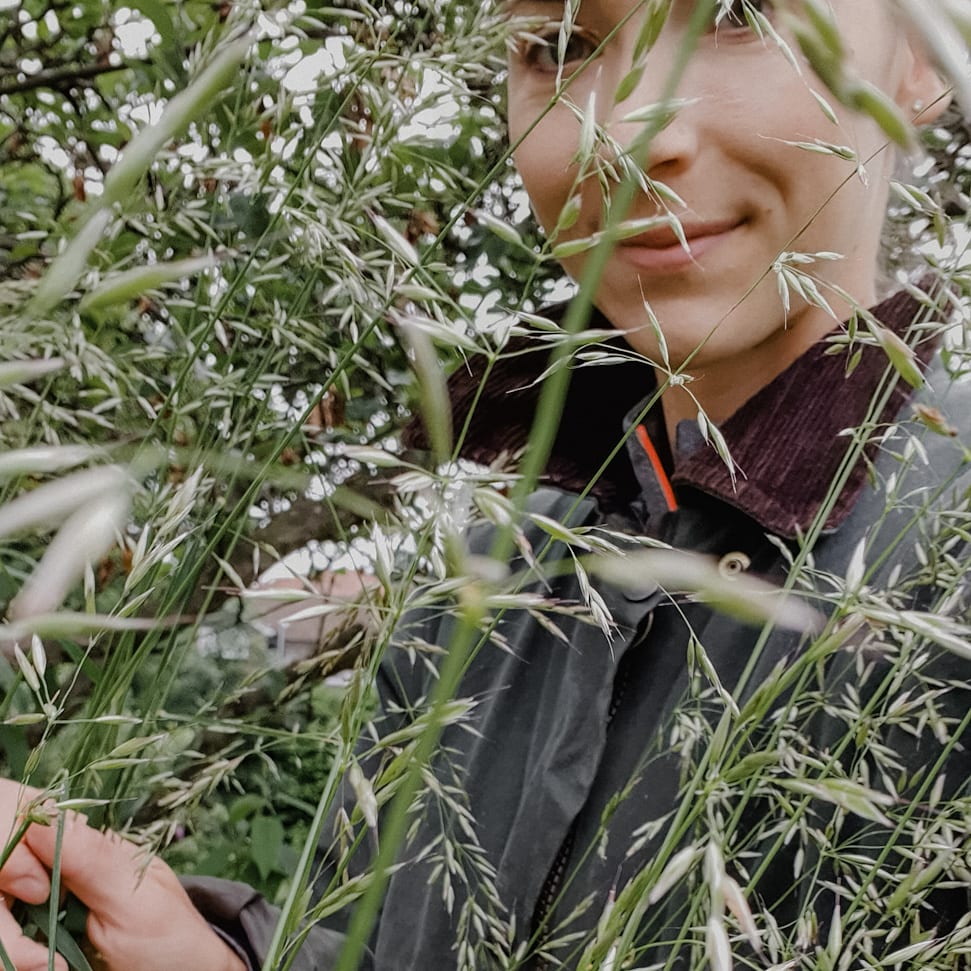 New Beginnings - a creative workshop celebrating art and nature