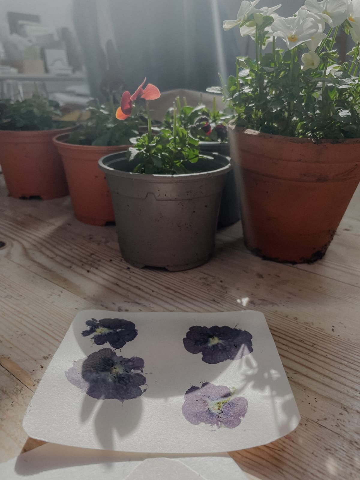 Flowerful Workshops at MOSS AND MOOR, Ilkley