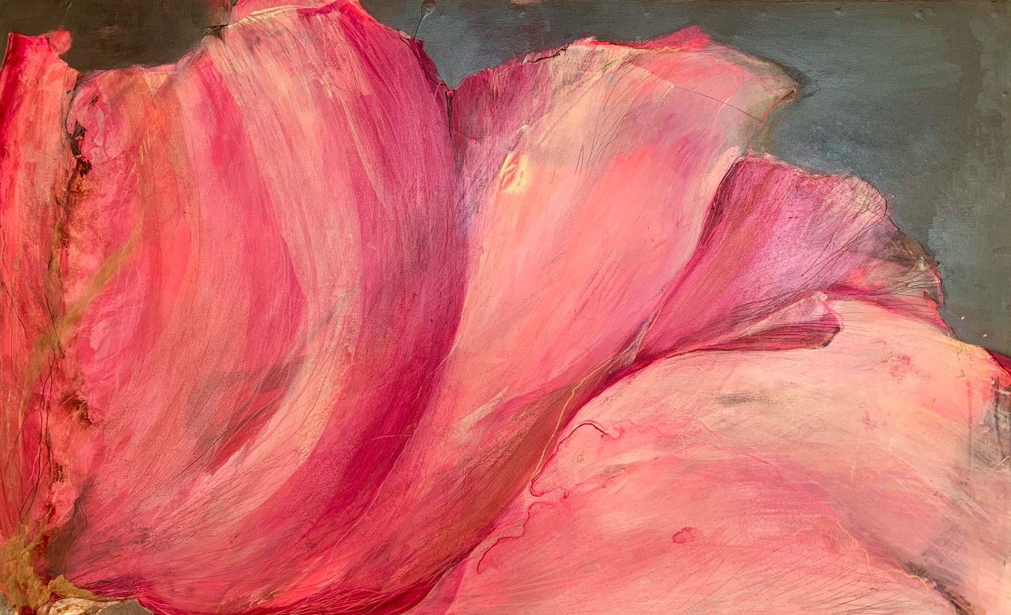 Rose in the wind